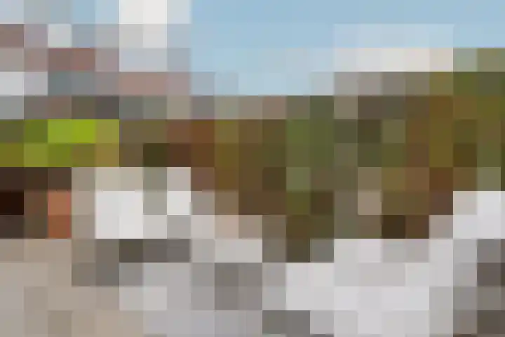 Antonius Matthaeuslaan 10 Utrecht thumbnail 7