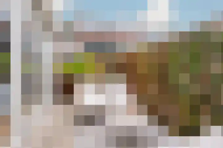 Antonius Matthaeuslaan 10 Utrecht thumbnail 8