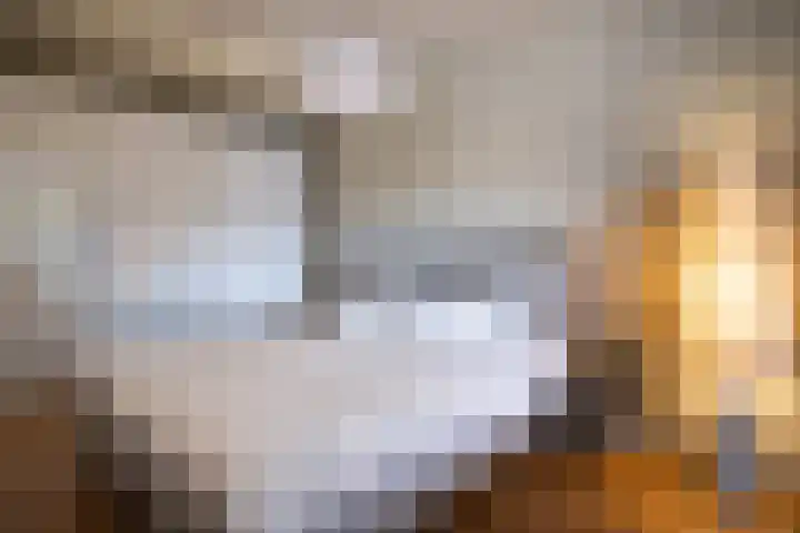 Antonius Matthaeuslaan 10 Utrecht thumbnail 9