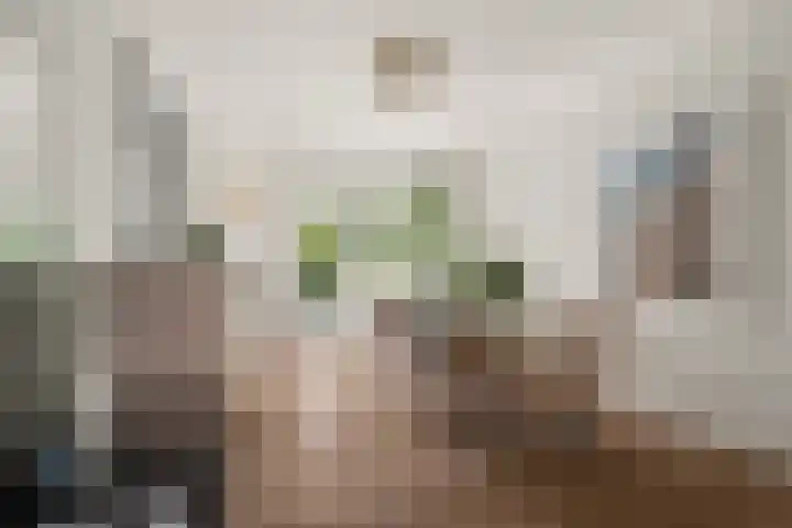 Antonius Matthaeuslaan 102 Utrecht thumbnail 11