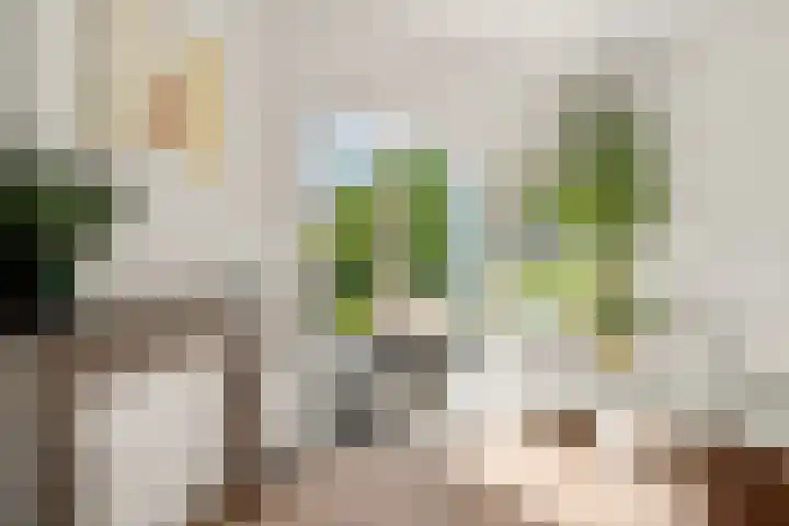 Antonius Matthaeuslaan 102 Utrecht thumbnail 14