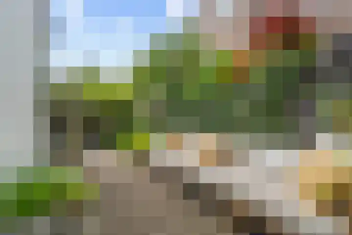 Antonius Matthaeuslaan 102 Utrecht thumbnail 16
