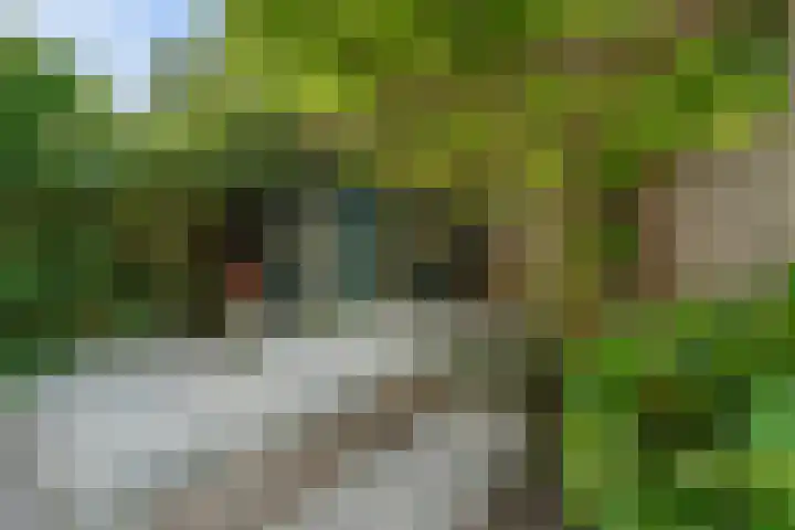 Antonius Matthaeuslaan 102 Utrecht thumbnail 18