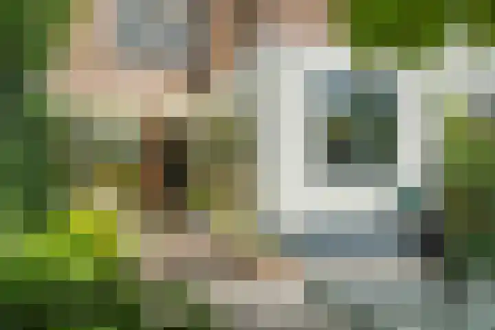 Antonius Matthaeuslaan 102 Utrecht thumbnail 20