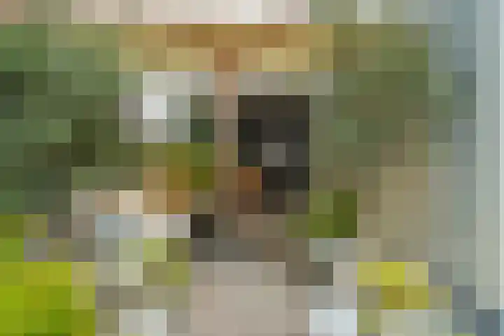 Antonius Matthaeuslaan 102 Utrecht thumbnail 21
