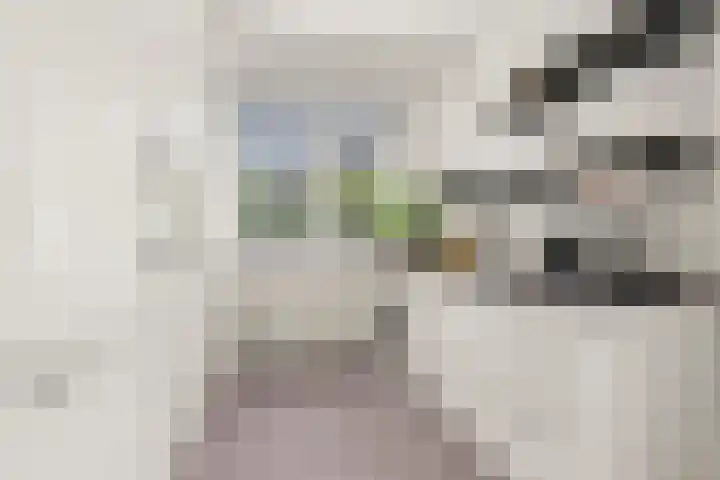Antonius Matthaeuslaan 102 Utrecht thumbnail 27
