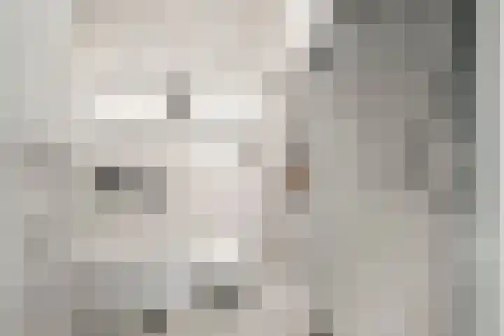 Antonius Matthaeuslaan 102 Utrecht thumbnail 28