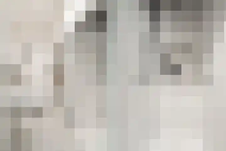 Antonius Matthaeuslaan 102 Utrecht thumbnail 30