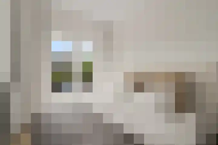 Antonius Matthaeuslaan 102 Utrecht thumbnail 32