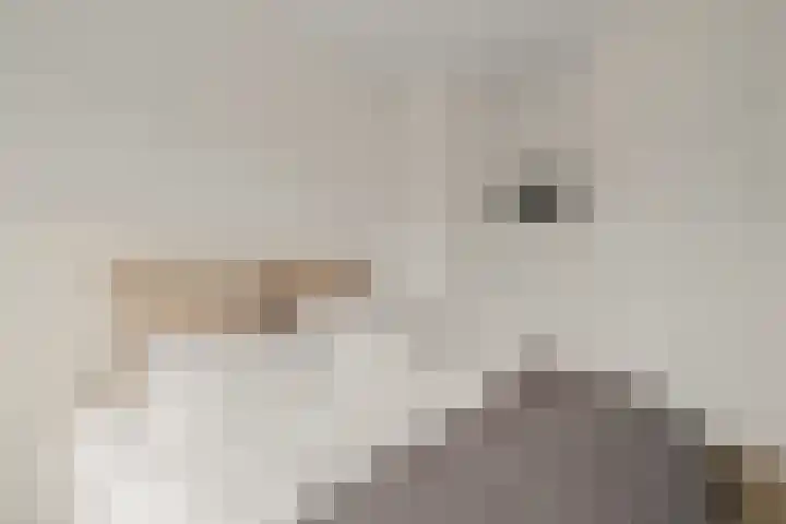 Antonius Matthaeuslaan 102 Utrecht thumbnail 33