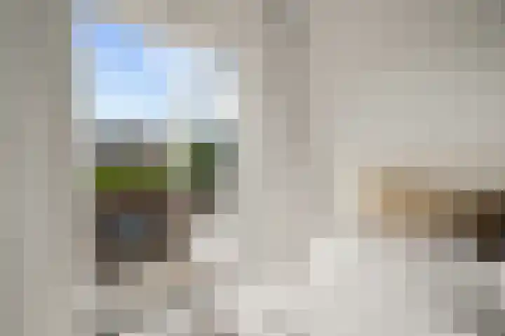 Antonius Matthaeuslaan 102 Utrecht thumbnail 34