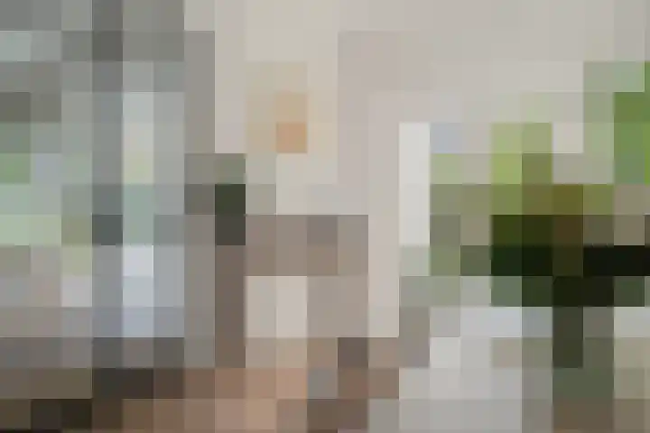 Antonius Matthaeuslaan 102 Utrecht thumbnail 9