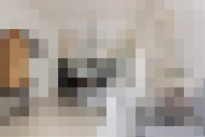 Antonius Matthaeuslaan 104 Utrecht thumbnail 12