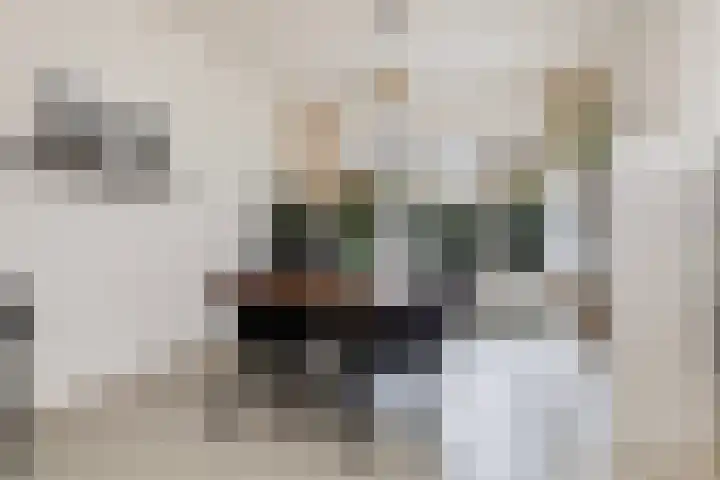 Antonius Matthaeuslaan 104 Utrecht thumbnail 13