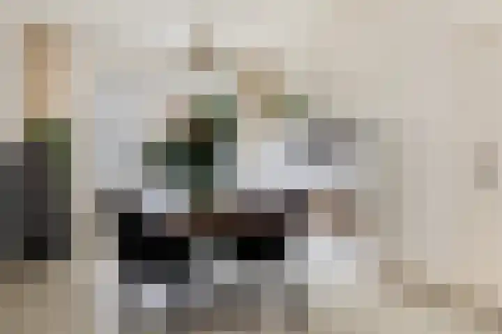 Antonius Matthaeuslaan 104 Utrecht thumbnail 14
