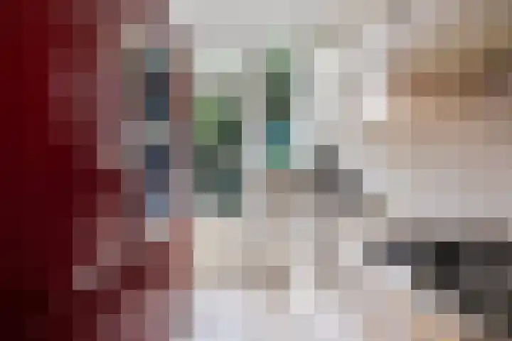 Antonius Matthaeuslaan 104 Utrecht thumbnail 17
