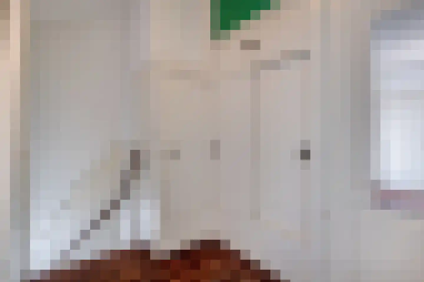 Antonius Matthaeuslaan 146 Utrecht thumbnail 12