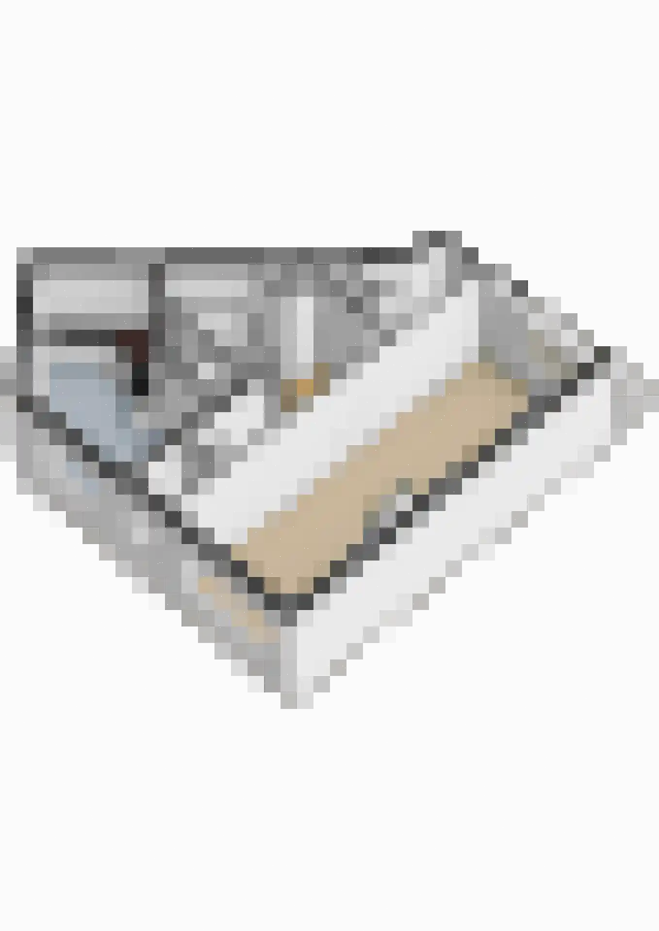 Antonius Matthaeuslaan 146 Utrecht thumbnail 40