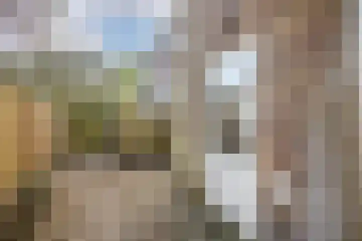 Antonius Matthaeuslaan 45 Utrecht thumbnail 16