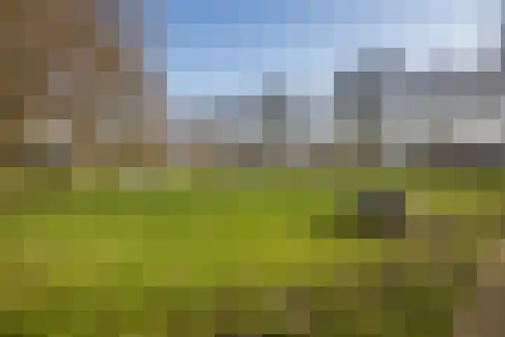 Antonius Matthaeuslaan 45 Utrecht thumbnail 22