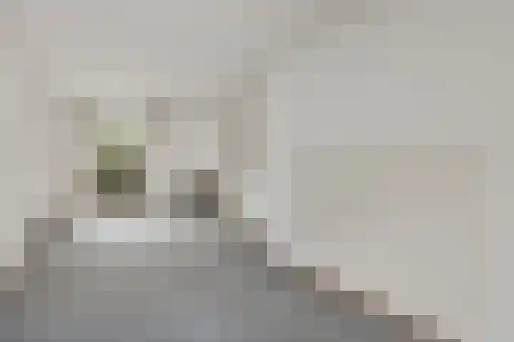 Antonius Matthaeuslaan 45 Utrecht thumbnail 4