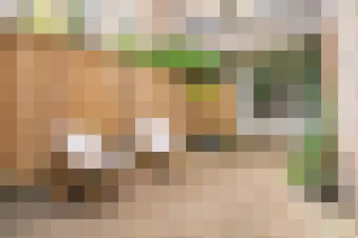 Antonius Matthaeuslaan 47 Utrecht thumbnail 14