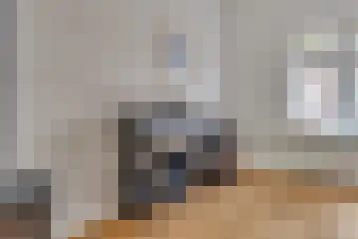 Antonius Matthaeuslaan 47 Utrecht thumbnail 17