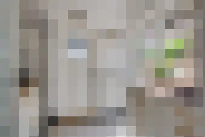 Antonius Matthaeuslaan 47 Utrecht thumbnail 18