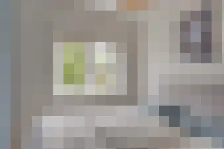 Antonius Matthaeuslaan 47 Utrecht thumbnail 35