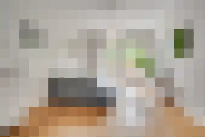 Antonius Matthaeuslaan 47 Utrecht thumbnail 6
