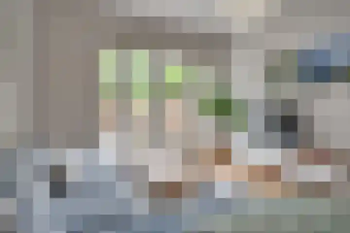 Antonius Matthaeuslaan 47 Utrecht thumbnail 8