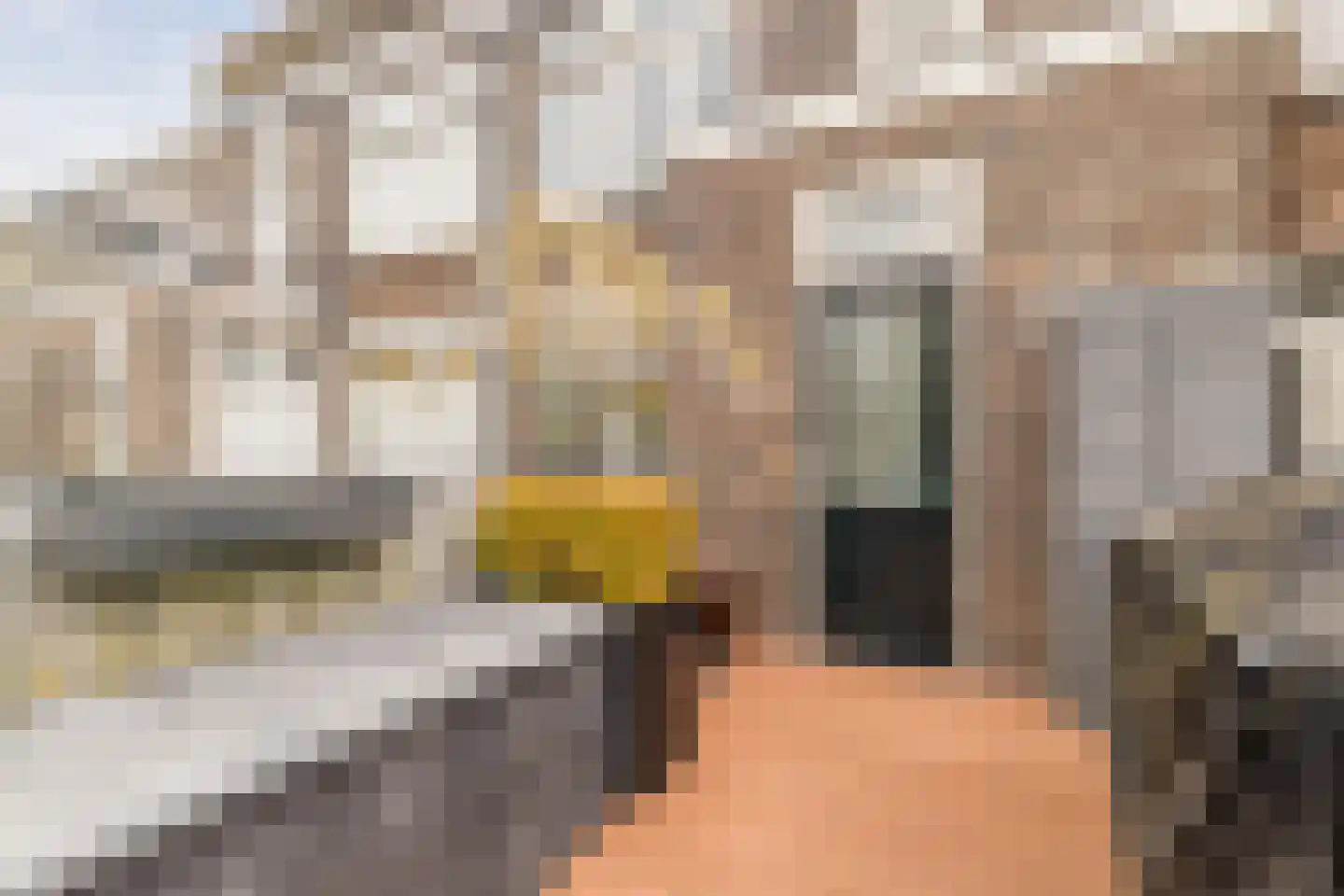 Antonius Matthaeuslaan 56 Utrecht thumbnail 40