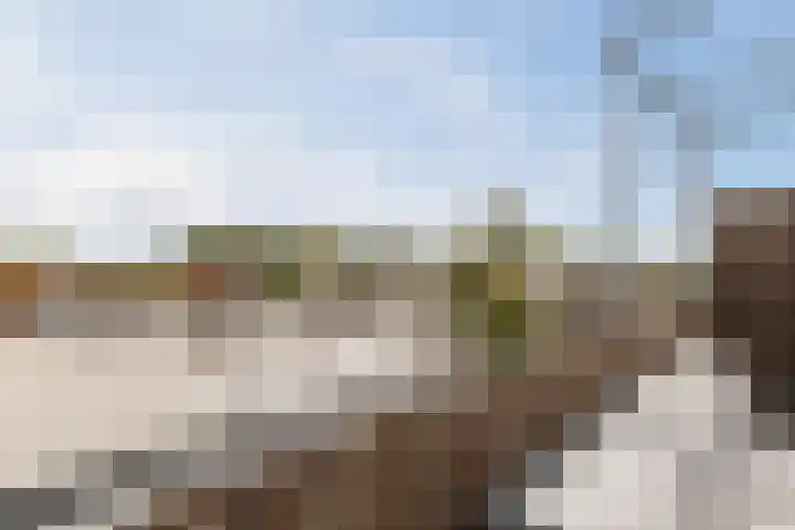 Antonius Matthaeuslaan 61 A Utrecht thumbnail 26