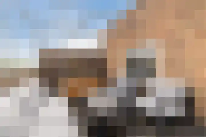 Antonius Matthaeuslaan 61 A Utrecht thumbnail 27