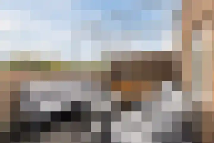 Antonius Matthaeuslaan 61 A Utrecht thumbnail 28