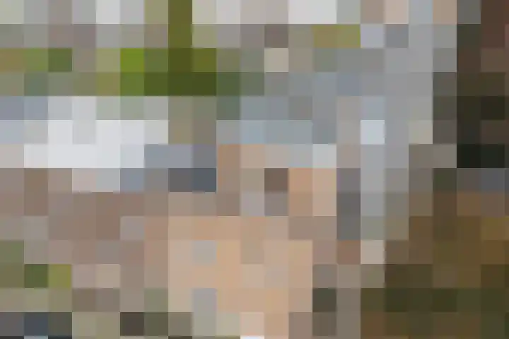 Antonius Matthaeuslaan 61 A Utrecht thumbnail 34