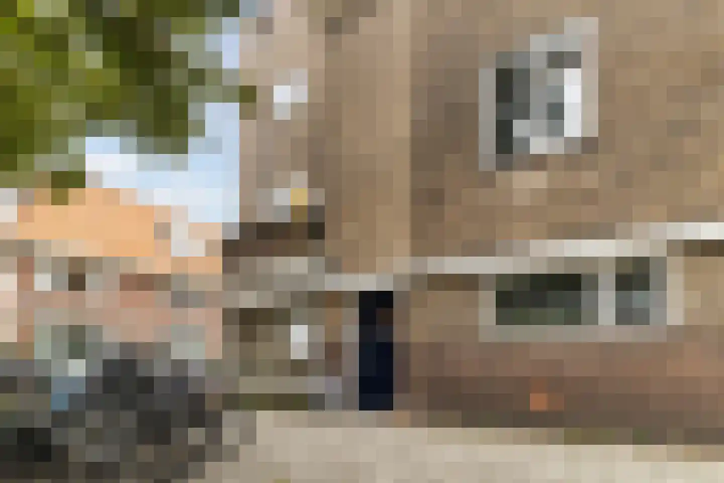 Antonius Matthaeuslaan 61 Utrecht thumbnail 39