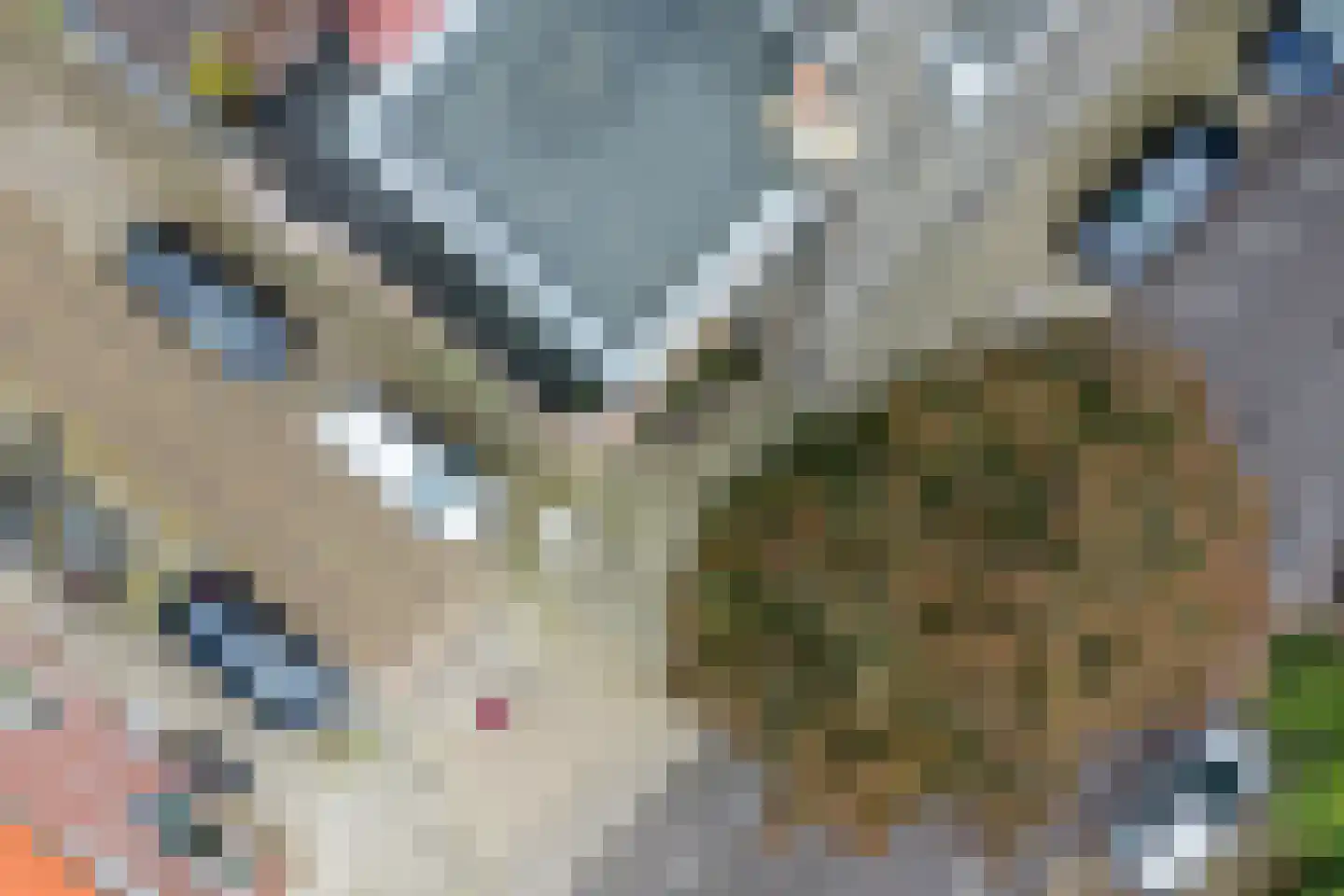 Antonius Matthaeuslaan 61 Utrecht thumbnail 43