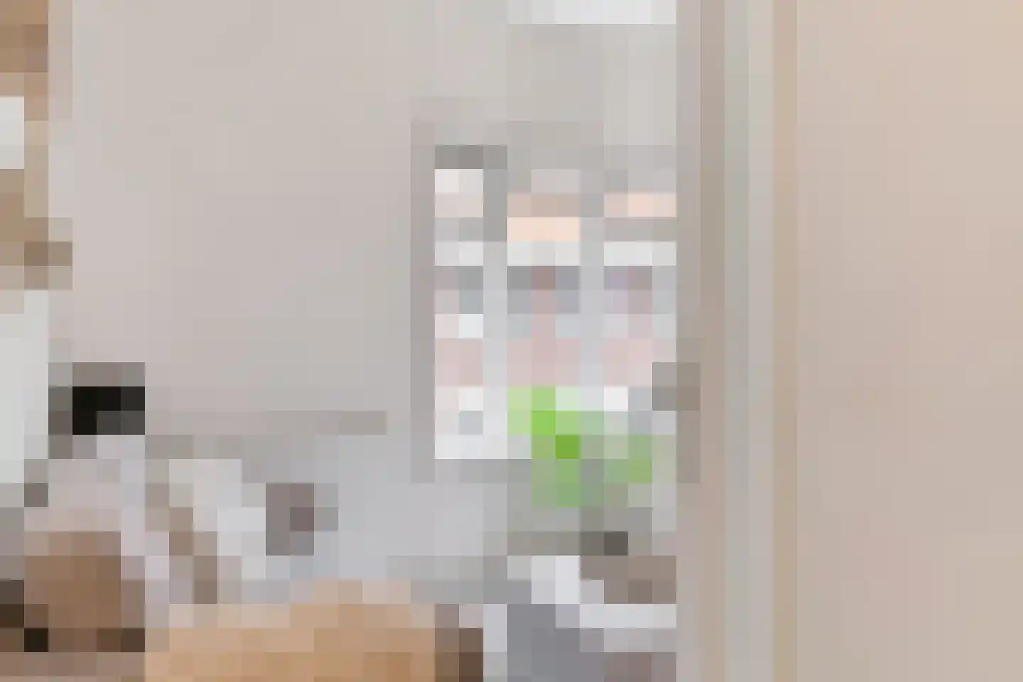 Antonius Matthaeuslaan 61 Utrecht thumbnail 8