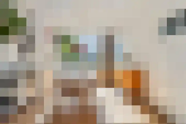 Antonius Matthaeuslaan 94 Utrecht thumbnail 13