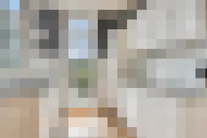 Antonius Matthaeuslaan 94 Utrecht thumbnail 14