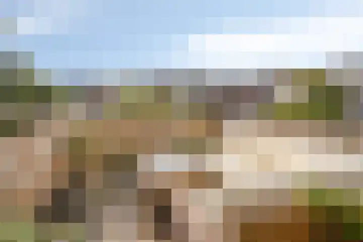 Antonius Matthaeuslaan 94 Utrecht thumbnail 20