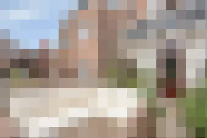 Antonius Matthaeuslaan 94 Utrecht thumbnail 21