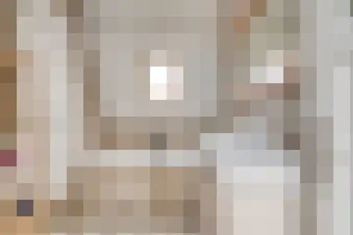 Antonius Matthaeuslaan 94 Utrecht thumbnail 26