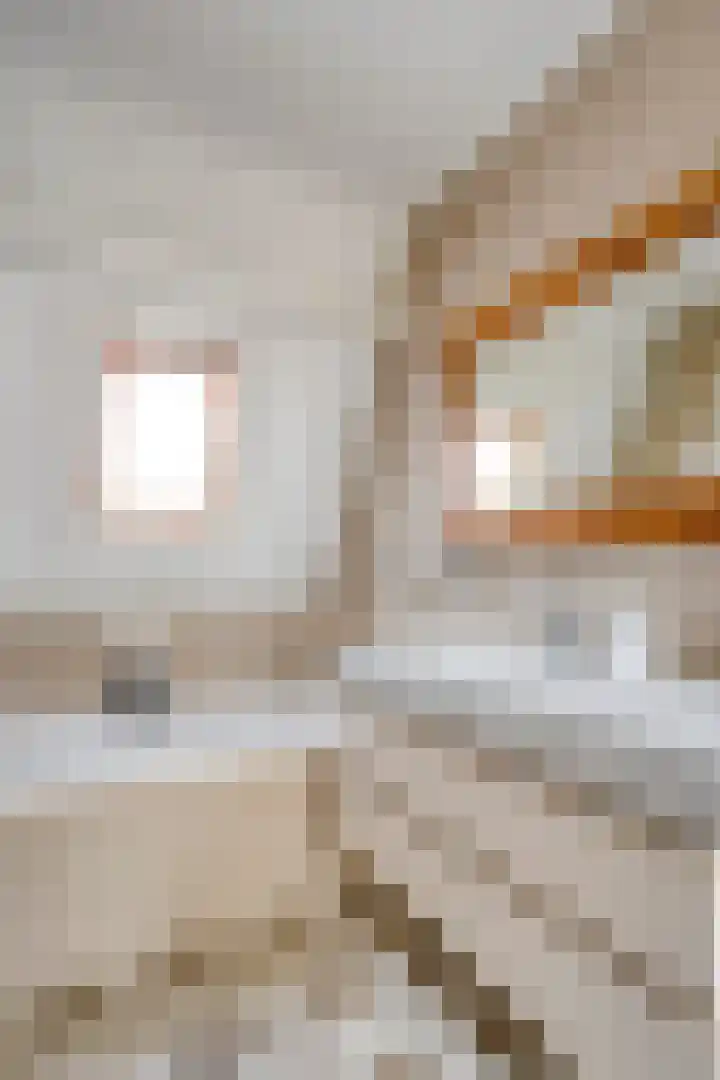 Antonius Matthaeuslaan 94 Utrecht thumbnail 27