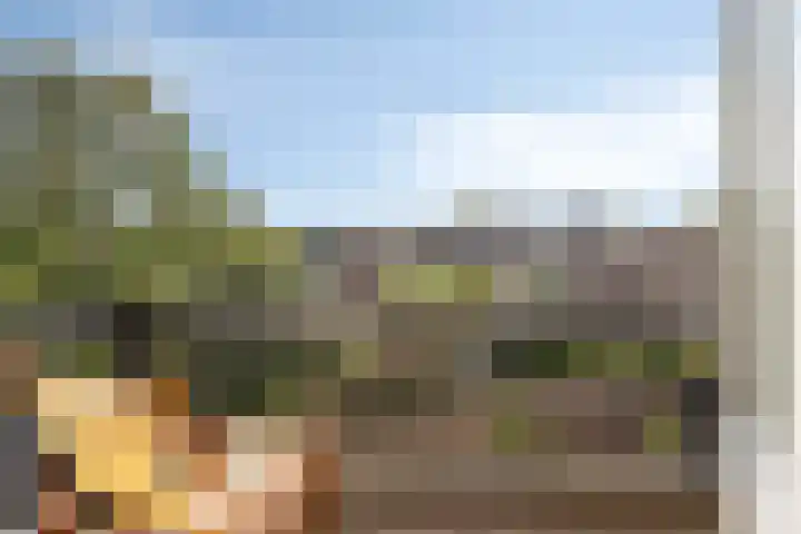 Antonius Matthaeuslaan 94 Utrecht thumbnail 33
