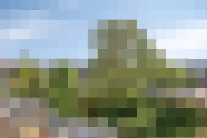 Antonius Matthaeuslaan 94 Utrecht thumbnail 34