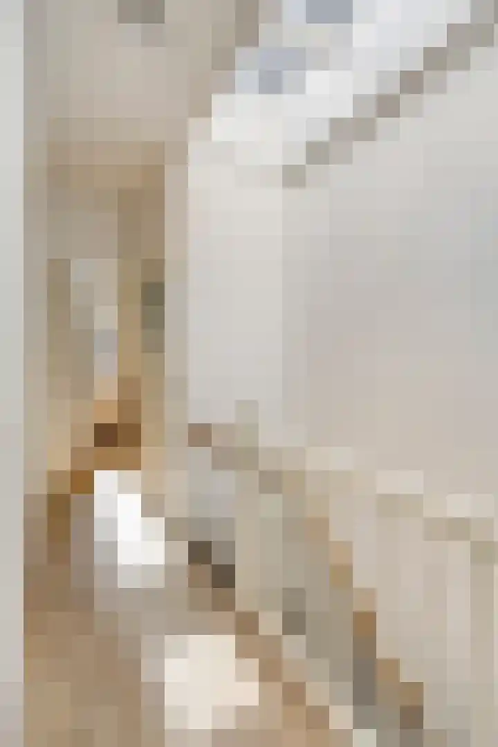 Antonius Matthaeuslaan 94 Utrecht thumbnail 35
