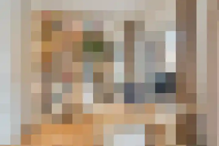 Antonius Matthaeuslaan 94 Utrecht thumbnail 9