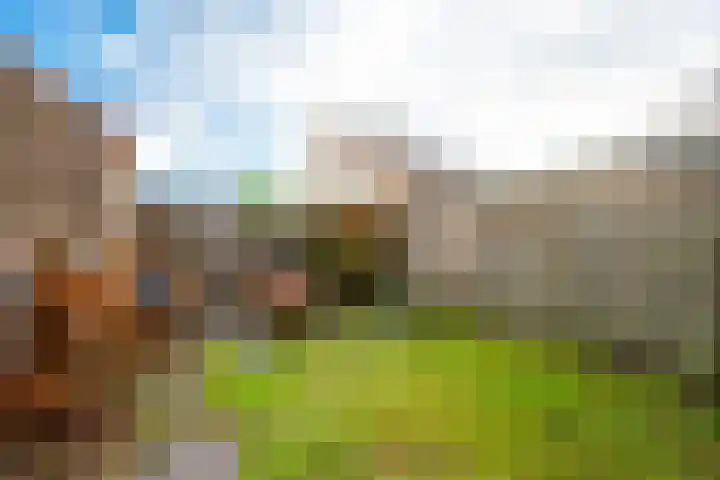 Antonius O.H. Tellegenlaan 20 Zeist thumbnail 32